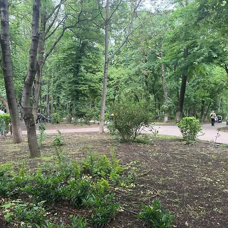 Kiseleff Park - Piata Victoriei Bucharest