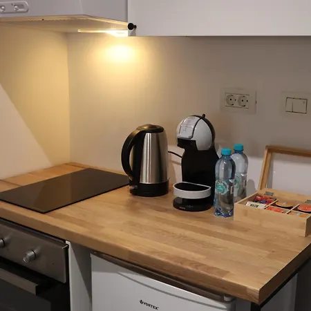 Kiseleff Park - Piata Victoriei Apartment Bukarest
