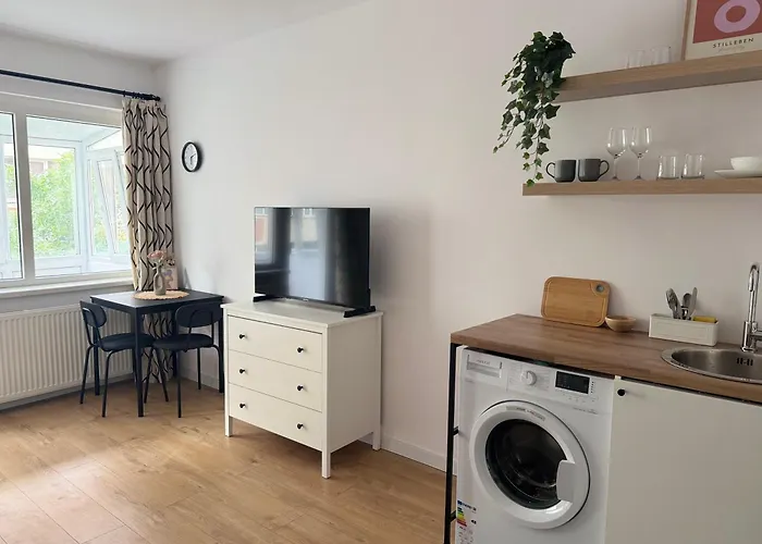 Kiseleff Park - Piata Victoriei *