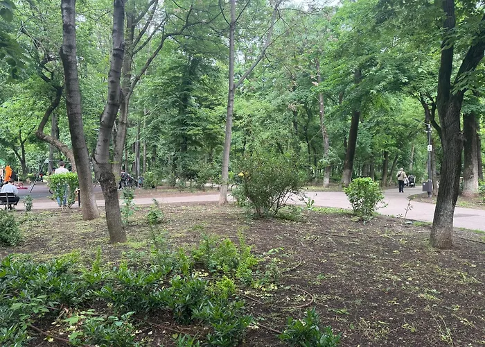 Kiseleff Park - Piata Victoriei 부쿠레슈티