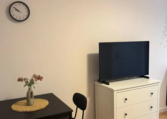 Appartement Kiseleff Park - Piata Victoriei